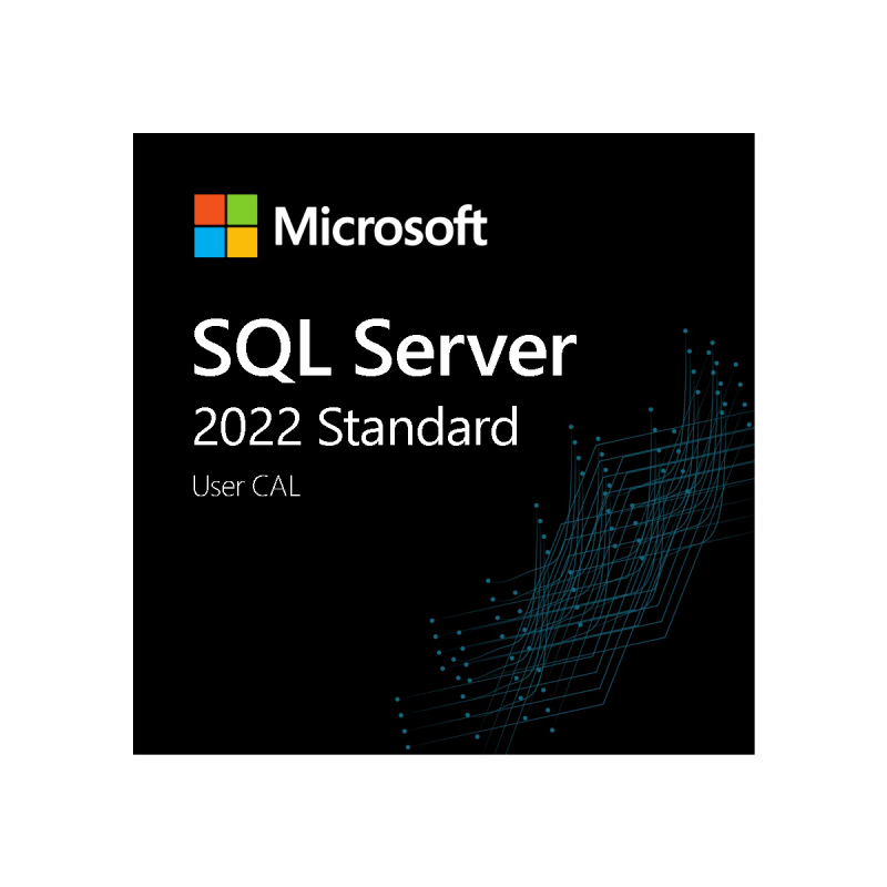 Microsoft SQL Server 2022 Standard - 1 User CAL