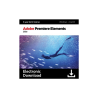 Adobe Premiere Elements 2026 MULTI Win/Mac – licencja edukacyjna (EDU) czasowa (3 lata)