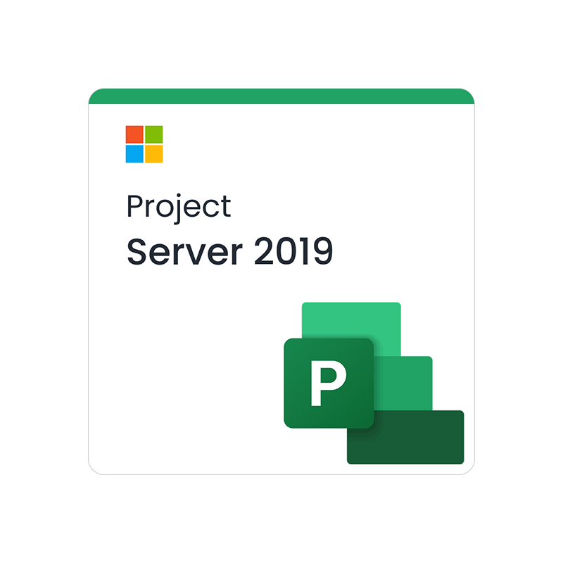 Microsoft Project Server 2019