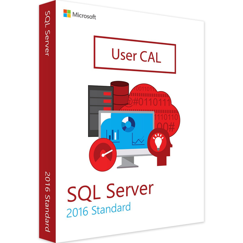 Microsoft SQL Server 2016 Standard - 1 User CAL