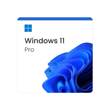 Microsoft Windows 11 Professional