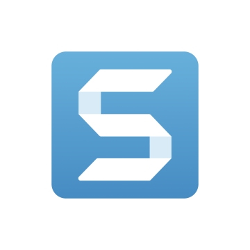 TechSmith Snagit Business - licencja na 12 miesięcy