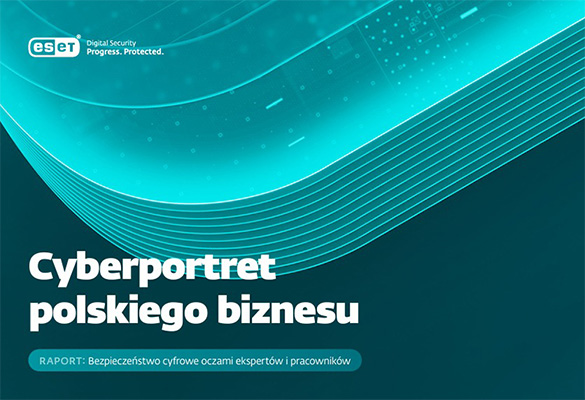 Cyberportret polskiego biznesu