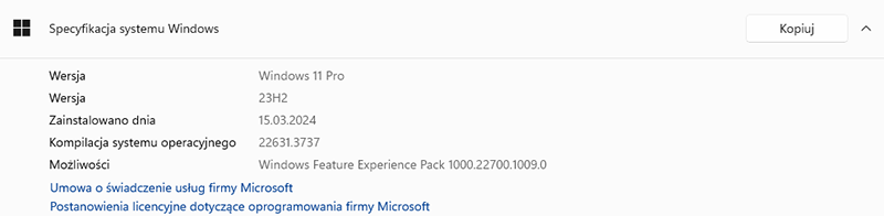 Specyfikacja systemu Windows