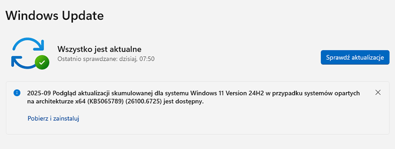 Panel aktualizacji z aktualizacją Windows 11 24H2