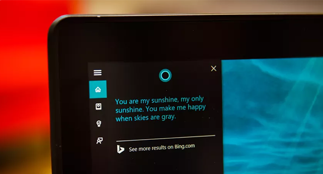 Cortana panel Windows 10 Home