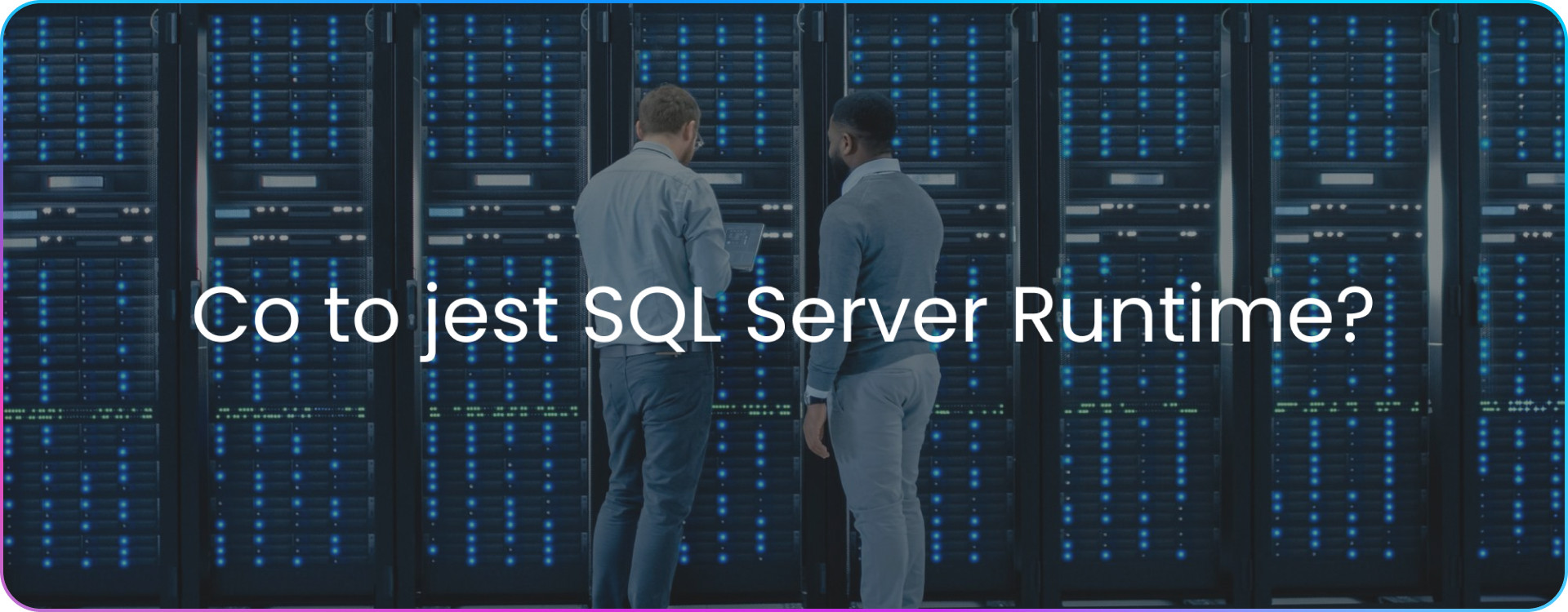 SQL Server Runtime co to jest? Zobacz funkcje | Soft360